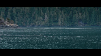 Resident Orca (2024) download