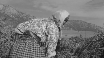 Revenge of the Snakes (1962) download