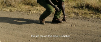 Rhino (2025) download