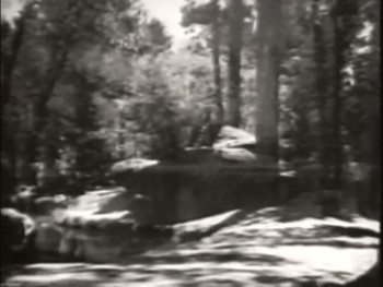 Riders of the Whistling Pines (1949) download