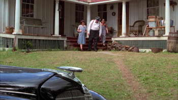 Run the Wild Fields (2000) download