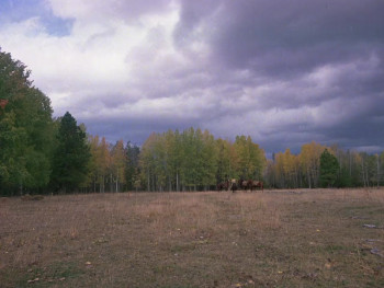 Sacred Ground (1983) download