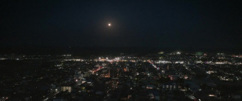 Sakura (2024) download