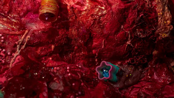 Sarah Squirm: Live + in the Flesh (2025) download