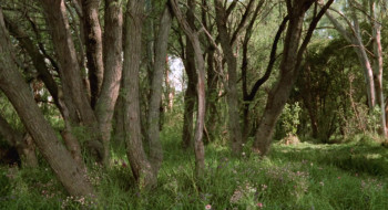 Satanico Pandemonium (1975) download