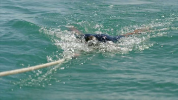 Saved from a Shark (2023) download