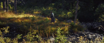 School of Magical Animals (2021) download