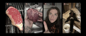 Seeds (2024) download