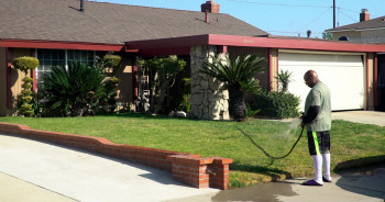 Seeking Mavis Beacon (2024) download