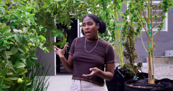 Seeking Mavis Beacon (2024) download