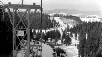 Seful sectorului suflete (1967) download