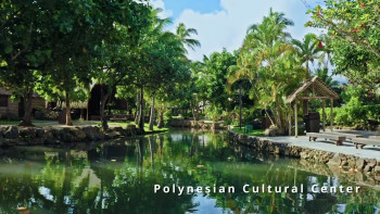 Sharing Aloha (2025) download