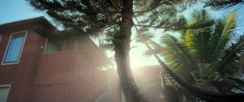 Shark Whisperer (2025) download