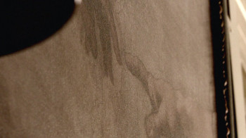 She Loves Me Not (2013) download