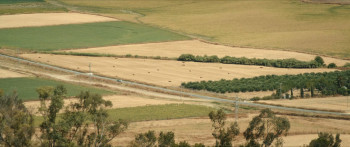 She Walks in Darkness (2025) download