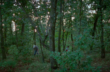 Short Summer (2025) download