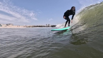 Shredded (2024) download