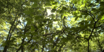 Simon Amstell: Set Free (2019) download