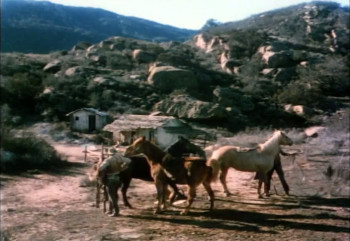 Slaughter Trail (1951) download