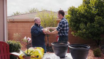 Snow Falling on Pumpkins (2025) download