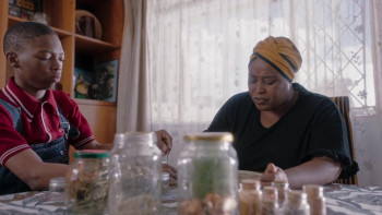 Soccer Season: Playmaker (2025) download