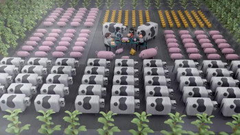 Soyalism (2018) download