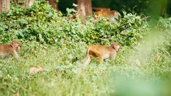 Speed Expeditions (2023) download