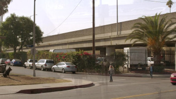 Spivak (2018) download