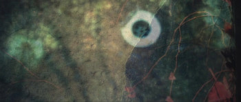 Splintered (2010) download