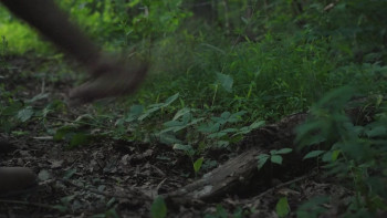 Squatch (2026) download
