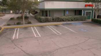 Still Waiting (2009) download