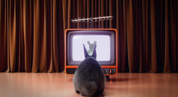 Stitch Head (2025) download