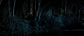 Stormforce (2006) download