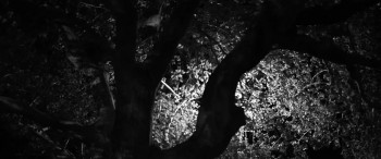 Stranger in the Night (2019) download