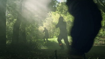 Survivor (2014) download