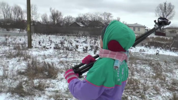 Swamp Dialogues (2015) download