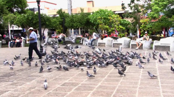 Take It with You (2012) download