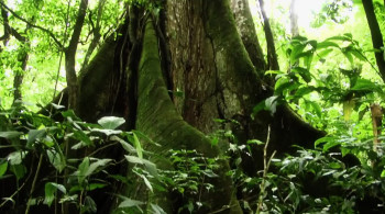 Take It with You (2012) download