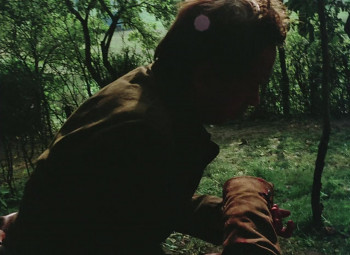 Tanczacy jastrzab (1977) download