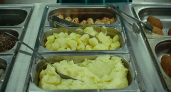 Tasty (2024) download