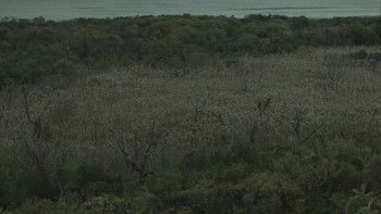 Tendaberry (2024) download