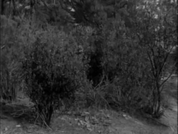 Texas Terror (1935) download