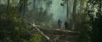 Thamma (2025) download