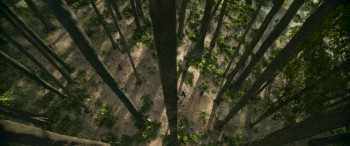 Thamma (2025) download