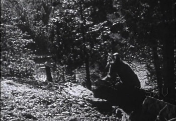 That's Sexploitation! (2013) download