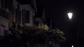 The Accidental Tourist (2025) download