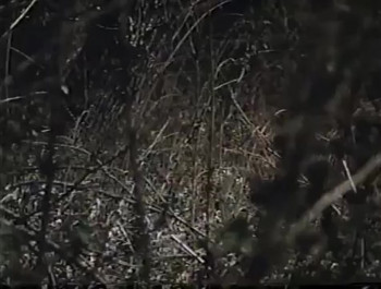 The Alchemist (1983) download