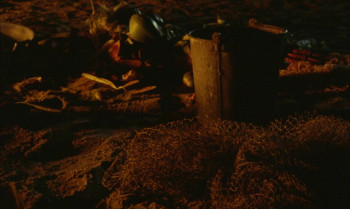 The Ballad of Suzanne Césaire (2024) download