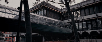 The Bitter Sugar (2024) download