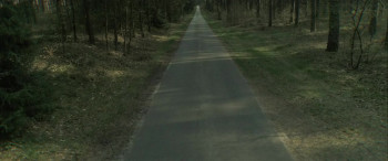 The Bitter Taste (2024) download